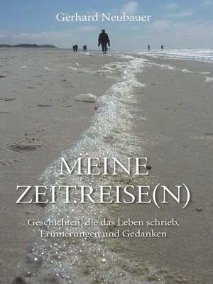 cover image of MEINE ZEITREISEN
